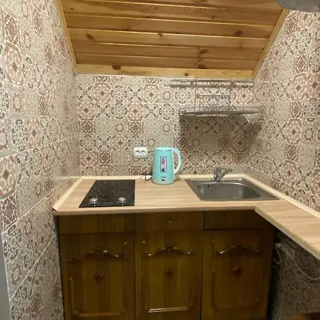 Apartamento затишок в карпатах 1 Slavske
