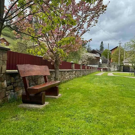 Apartment затишок в карпатах 1